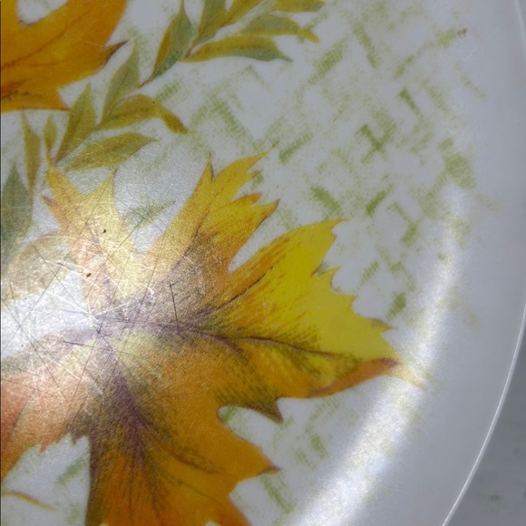 Autumn Leaf Dinner Plates - Set of 6 (White with Orange & Green) - Picture 9 of 9